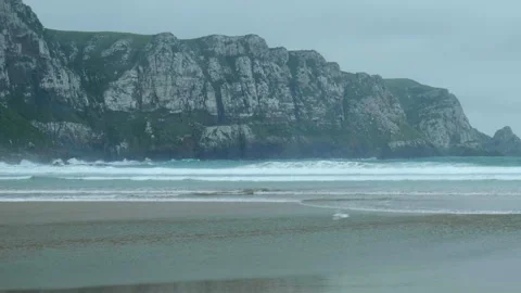 Seaguls flying in front of waves on Beach in New Zealand Stock Footage 260369592