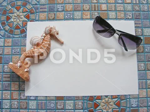 Seahorse and spectacles onceptual travel with place for message Stock Photos