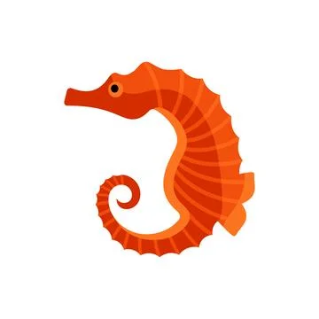 Seahorse colourful flat style vector illustration. Sea life vector. Stock Illustration