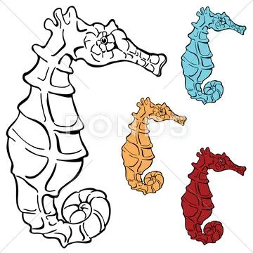 Seahorse drawing Stock Illustration