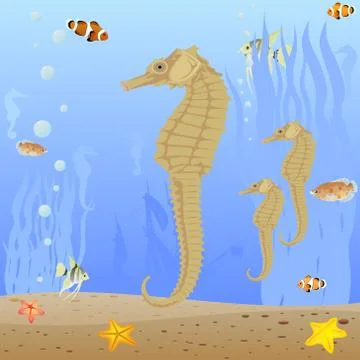Seahorse Stock Illustration