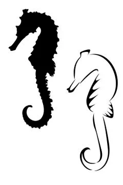 Seahorse Stock Illustration