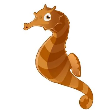 Seahorse Stock Illustration