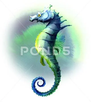 Seahorse Stock Illustration