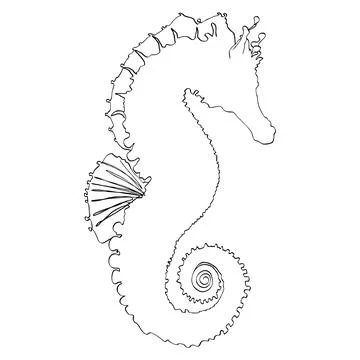 Seahorse Stock Illustration