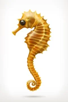 Seahorse, vector icon Stock Illustration