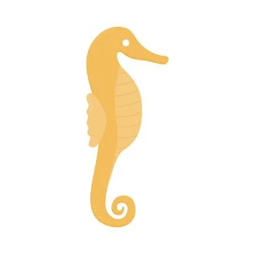 Seahourse on a white background Stock Illustration