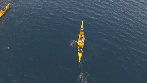 Seakayaking Aerial View	 스톡 동영상 80069161