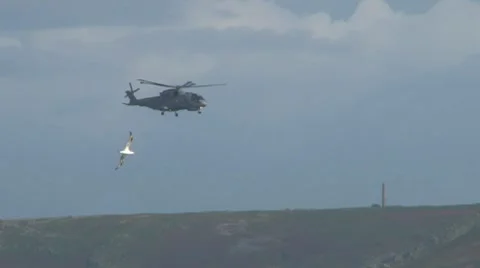 Seaking Helicopter Video stock 8952871