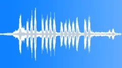 Seal Barking Sound Effect