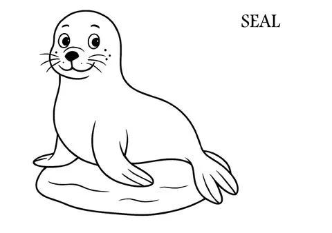Seal Coloring Page – Printable Ocean Animal Line Art Illustrazione stock