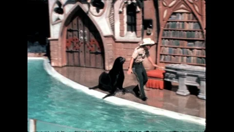 Seal Entering Stage with Trainer Stock Footage 276290320