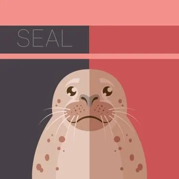 Seal  flat postcard Stock Illustration