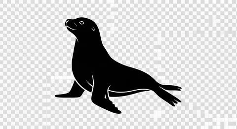 Seal icon vector design isolated on white background depicting wild animal .. Illustration