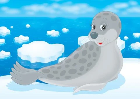 Seal Stock Illustration
