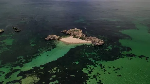 Seal Island Stock Footage 150769309