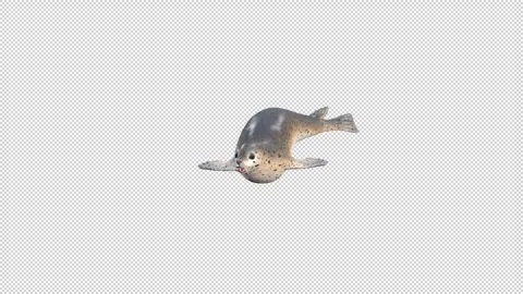 SEAL Land Idle Stock Footage 321535151