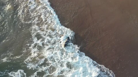 Seal Playing in Ocean Waves Along the Coast, Aerial View Stock Footage 137426846