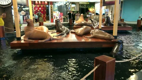 Seal Pool Display At Terminal 21 Shopping Mall, Pattaya, Thailand. Vídeo Stock 172222765