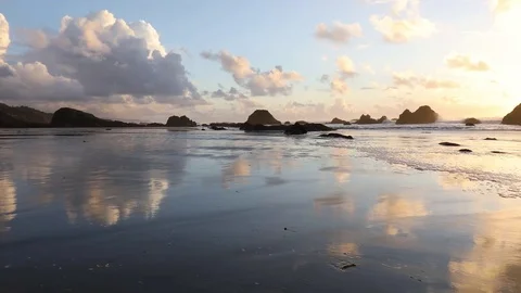 Seal Rock Beach Stock Footage 73208435