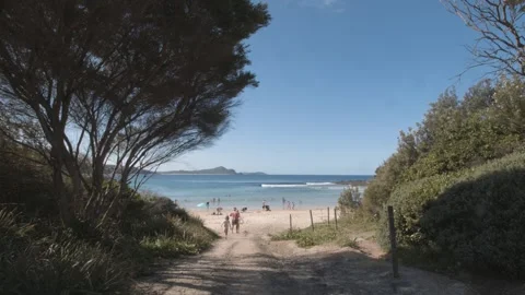 Seal Rocks NSW Stock Footage 266652966