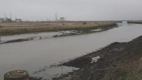 Seal Sands Video stock 327838899