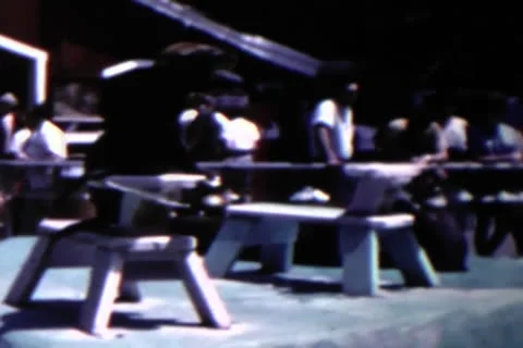 Seal show Stock Footage 24673162