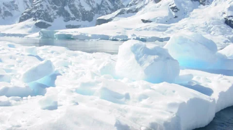 Seal on the snow. Antarctica 스톡 동영상 33608436
