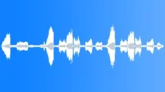 SEALSound Effect