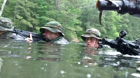 Seal Trainees in Water 스톡 동영상 40048413