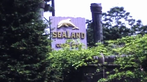 Sealand Cape Cod Video stock 83468915