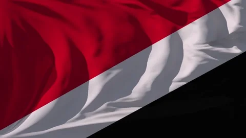 Sealand Principality of Flag Loop Stock Footage 295737840