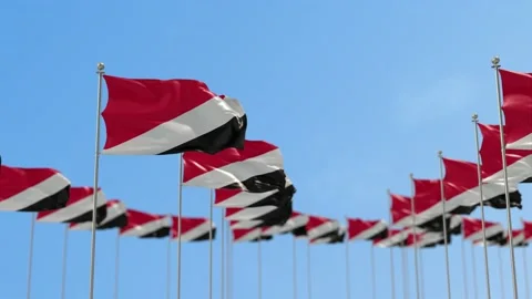 Sealand Principality of Row Of Flags Animation Stock-Footage 148792029