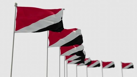 Sealand Principality of Row Of Flags Animation Include Alpha Channel  Stock Footage 163457395