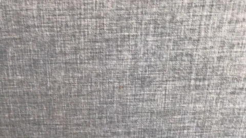 Sealcoat Video stock 106199839