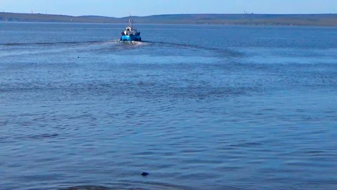 Seals on the background of the ship Stock Footage 100247815