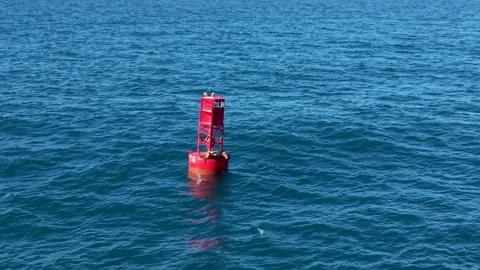 Seals basking in the sun on a buoy in the Pacific Ocean Stock-Footage 331091019