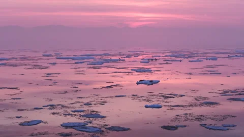 Seals on floating blue ice surrounded by the mirrored surface of the water Stock-Footage 308777117