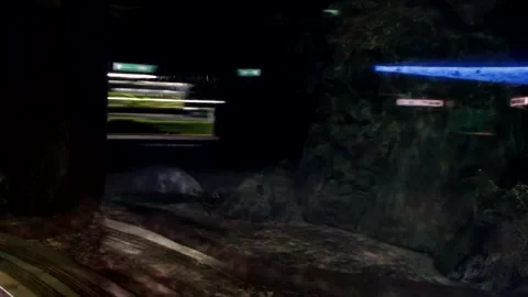 Seals Stock Footage 150037958