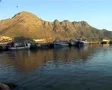 Seals in Hout Bay Harbour, Cape Town SD Footage