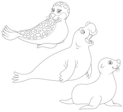 Seals Stock Illustration