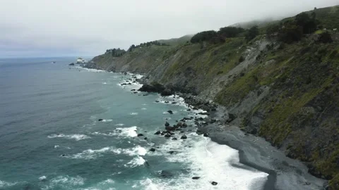 Seals resting on shore at bottom of cliff Stock Footage 155463820