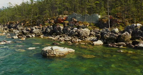 Seals rookery. Observation Deck. Close. Stock Footage 168917851