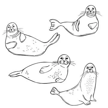 Seals.  Vector illustration. Stock Illustration