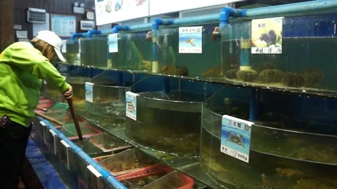 Seamarket02 Stock Footage 103247067