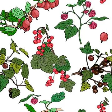 Seamles pattern different berries. red currant, black currunt,  Stock Illustration