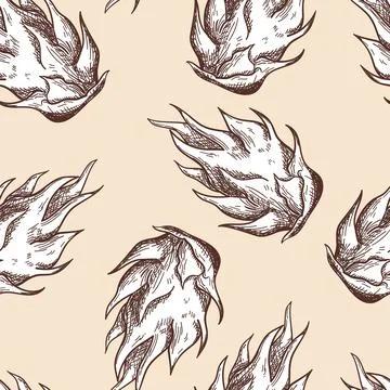 Seamles Pattern Of Dragon Fruit Illustrazione stock