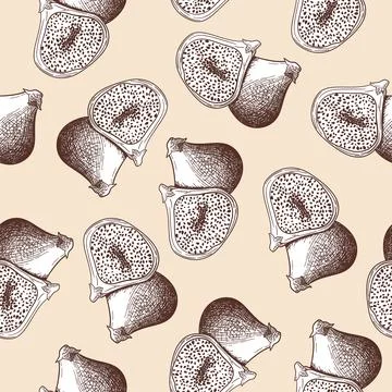 Seamles Pattern Of Fig Fruit 스톡 일러스트