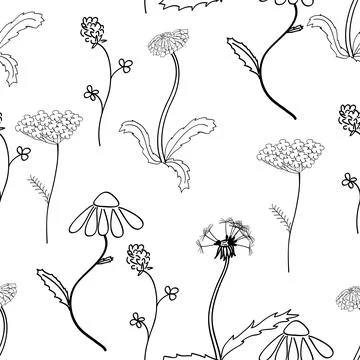 Seamles pattern with meadow flower Stock Illustration