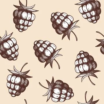 Seamles Pattern Of Raspberry Stock Illustration